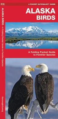 Cover image for Alaska Birds: A Folding Pocket Guide to Familiar Species