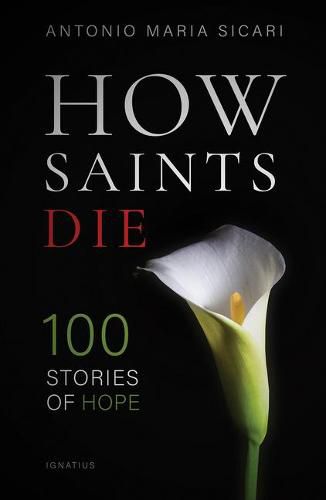 Cover image for How Saints Die: 100 Stories of Hope