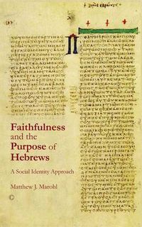 Cover image for Faithfulness and the Purpose of Hebrews: A Social Identity Approach