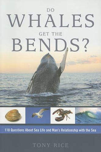 Cover image for Do Whales Get The Bends?: Answers to 118 Fascinating Questions about the Sea