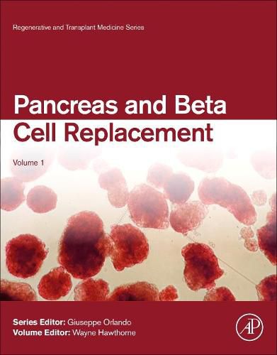 Cover image for Pancreas and Beta Cell Replacement