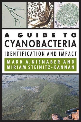 Cover image for A Guide to Cyanobacteria: Identification and Impact