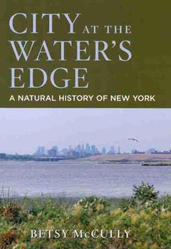 Cover image for City at the Water's Edge: A Natural History of New York