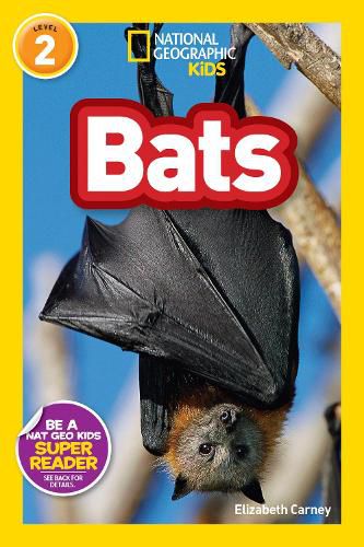 Cover image for National Geographic Readers: Bats
