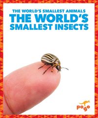 Cover image for The World's Smallest Insects