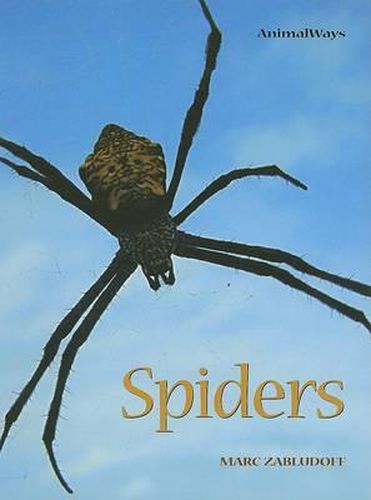 Cover image for Spiders