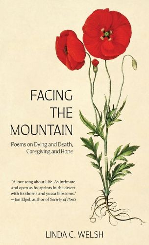 Cover image for Facing the Mountain