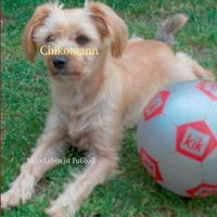 Cover image for Chikomann: Mein Leben ist Fussball