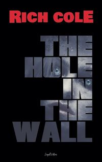 Cover image for The Hole in the Wall