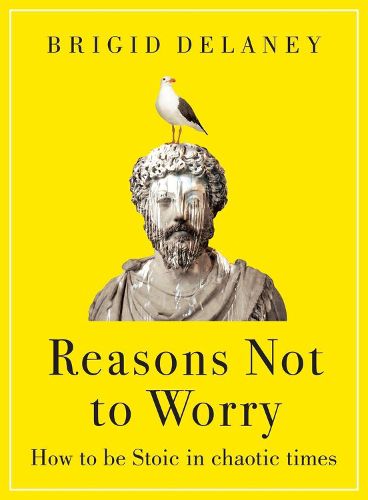Cover image for Reasons Not to Worry