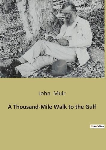 Cover image for A Thousand-Mile Walk to the Gulf