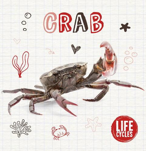 Cover image for Crab