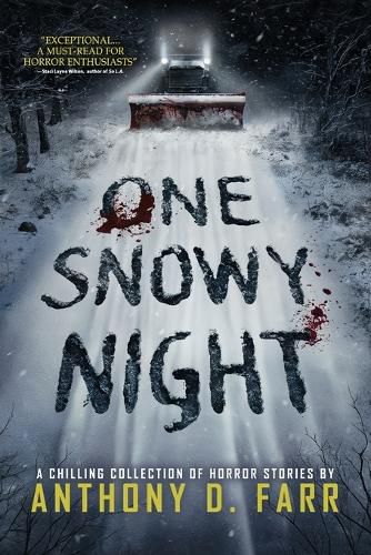 Cover image for One Snowy Night