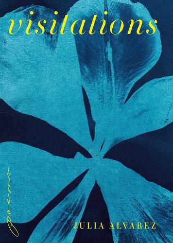 Cover image for Visitations