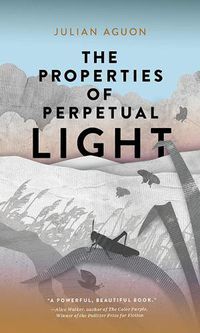 Cover image for The Properties of Perpetual Light