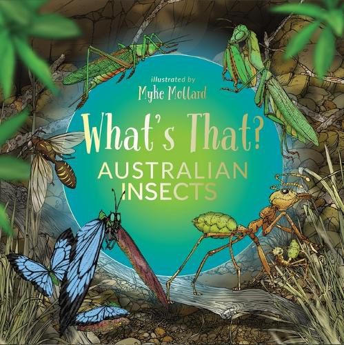 Cover image for What's That? Australian Insects