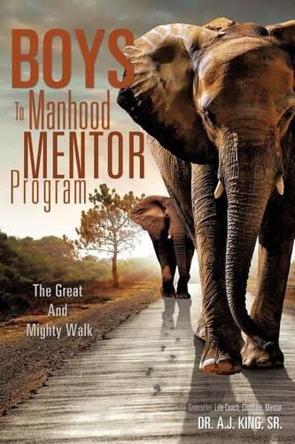 Cover image for Boys To Manhood Mentor Program