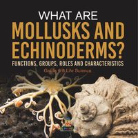 Cover image for What are Mollusks and Echinoderms? Functions, Groups, Roles and Characteristics Grade 6-8 Life Science