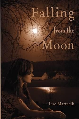 Cover image for Falling from the Moon