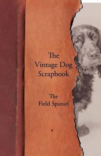 Cover image for The Vintage Dog Scrapbook - The Field Spaniel