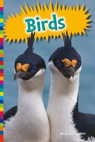 Cover image for Birds