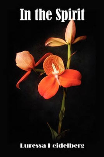 Cover image for In the Spirit