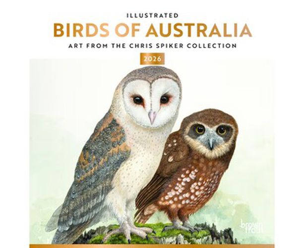 Illustrated Birds of Australia 2026 Square Calendar