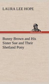 Cover image for Bunny Brown and His Sister Sue and Their Shetland Pony