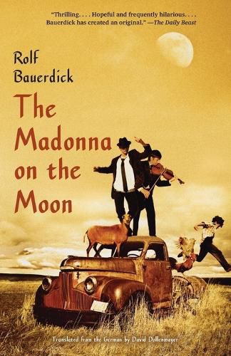 Cover image for The Madonna on the Moon