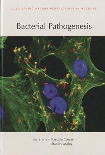Cover image for Bacterial Pathogenesis