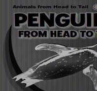 Cover image for Penguins from Head to Tail