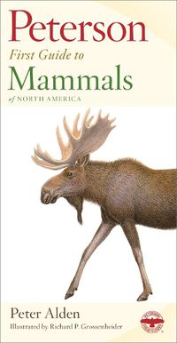 Cover image for First Guide to Mammals