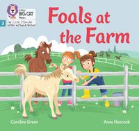 Cover image for Foals at the Farm