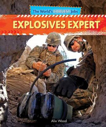 Cover image for Explosives Expert