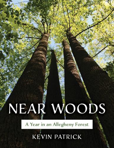 Cover image for Near Woods: A Year in the Allegheny Forest