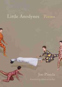 Cover image for Little Anodynes: Poems