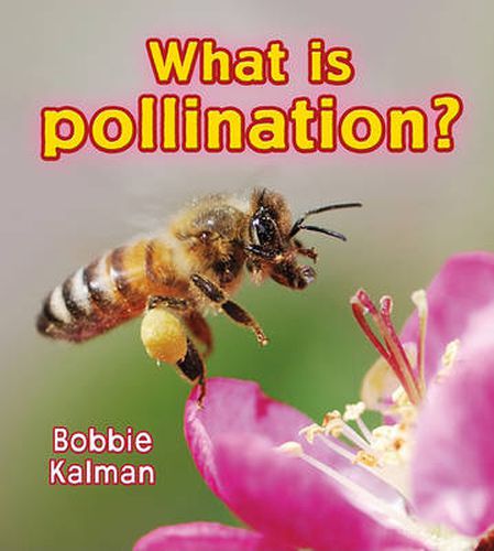 Cover image for What is pollination?