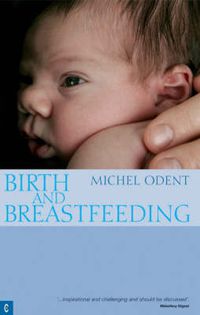 Cover image for Birth and Breastfeeding: Rediscovering the Needs of Women During Pregnancy and Childbirth