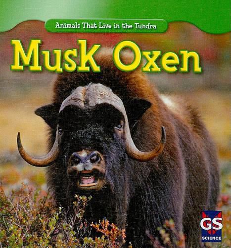 Cover image for Musk Oxen