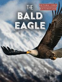 Cover image for The Bald Eagle