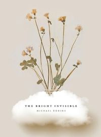 Cover image for The Bright Invisible