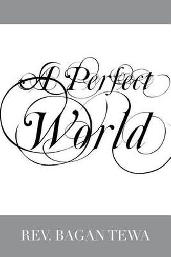 Cover image for A Perfect World