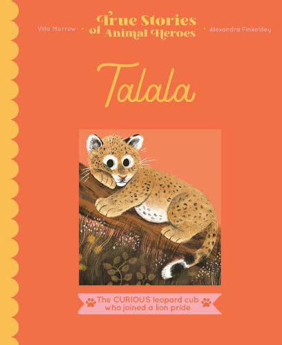 Talala: The curious leopard cub who joined a lion pride