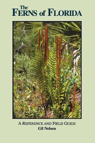 Cover image for The Ferns of Florida: A Reference and Field Guide