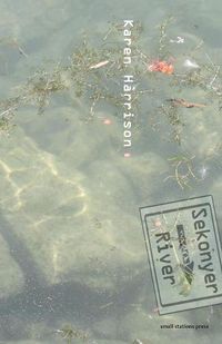 Cover image for Sekonyer River