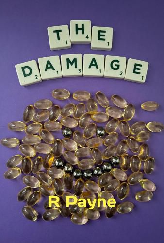 Cover image for The Damage