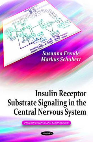 Cover image for Insulin Receptor Substrate Signaling in the Central Nervous System