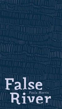 Cover image for False River