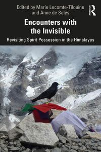 Cover image for Encounters with the Invisible