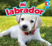 Cover image for Mi Labrador